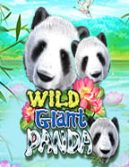 เพื่อนแนะนำ: บอทบาคาร่าฟรี ใช้งานง่ายเพิ่มโอกาสชนะ